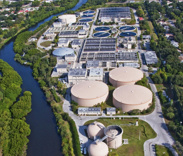 water plant