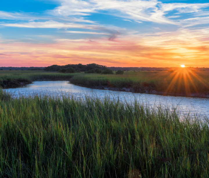 Wetlands